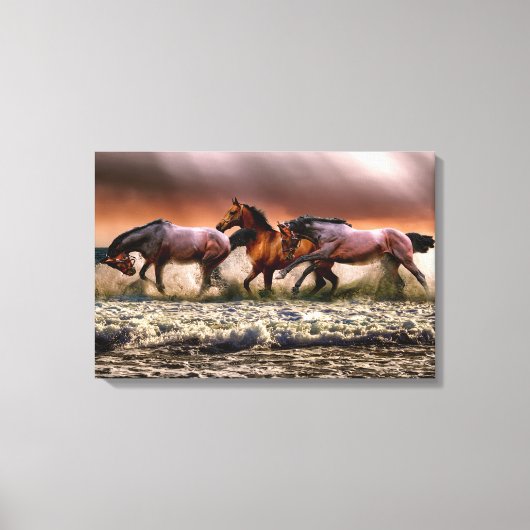 Paarden omwikkeld canvas (Voorkant)