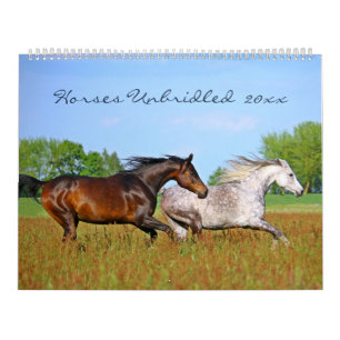 Paarden Ongetemd Natuurfotografie Aangepast Jaar Kalender