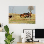Paarden op Boerderij Foto Poster (Thuiskantoor)