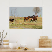 Paarden op Boerderij Foto Poster (Keuken)