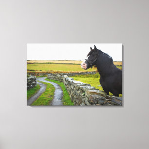 Paarden op boerderij op het platteland in Engeland Canvas Afdruk