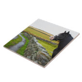 Paarden op boerderij op het platteland in Engeland Tegeltje (Zijkant)