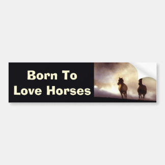 Paarden op de Bumpersticker op de heuvel