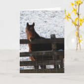 Paarden op de Fence Birthday Kaart (Gele Bloem)