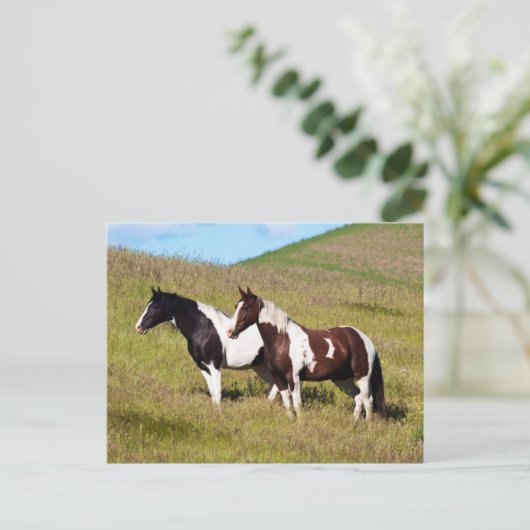 Paarden op de heuvel briefkaart (Staand voorkant)