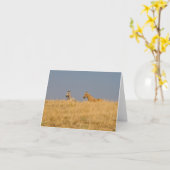 Paarden op de Heuvel Kaart (Gele Bloem)