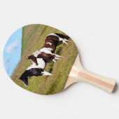 Paarden op de heuvel tafeltennisbatje (Zijkant)