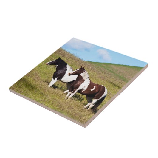 Paarden op de heuvel tegeltje (Zijkant)