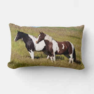 Paarden op de heuvelhelling kussen