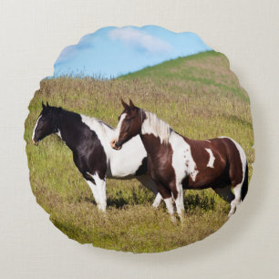 Paarden op de heuvelhelling rond kussen