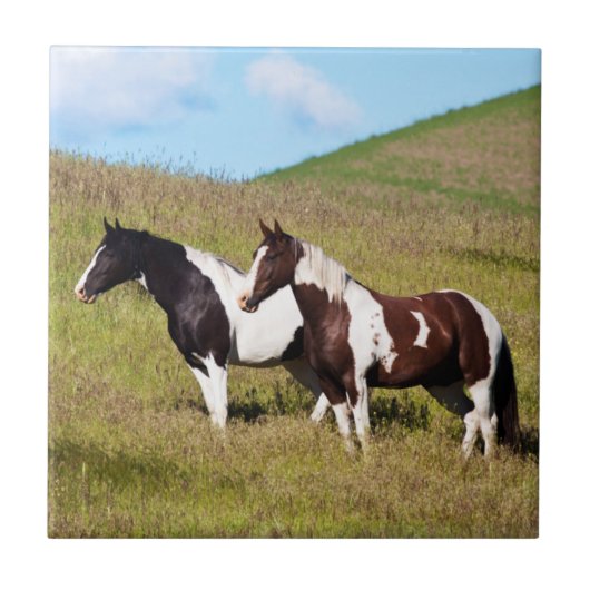 Paarden op de heuvelhelling tegeltje (Voorkant)