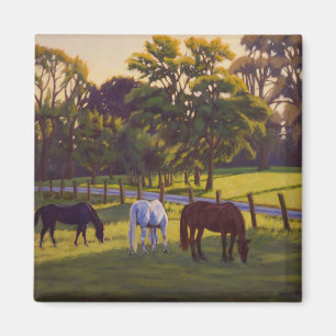 Paarden op de Morgenweide - Florissant Missouri Ol Magneet