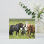 Paarden op de Ranch, Zuid-IJsland Briefkaart (Staand voorkant)
