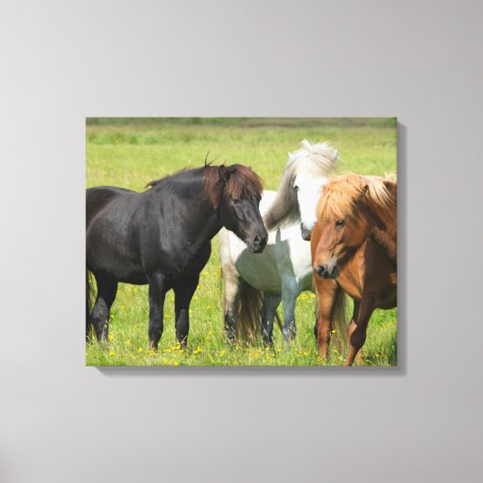 Paarden op de Ranch, Zuid-IJsland Canvas Afdruk (Voorkant)