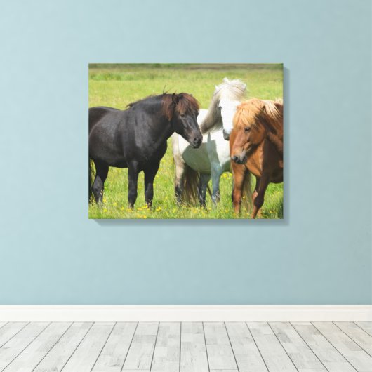 Paarden op de Ranch, Zuid-IJsland Canvas Afdruk (Insitu (Houten vloer))