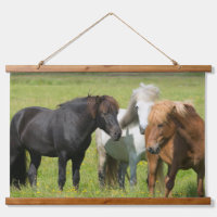 Paarden op de Ranch, Zuid-IJsland