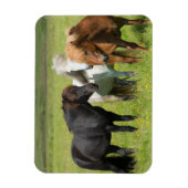 Paarden op de Ranch, Zuid-IJsland Magneet (Verticaal)