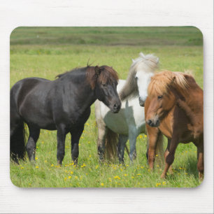 Paarden op de Ranch, Zuid-IJsland Muismat