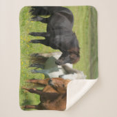 Paarden op de Ranch, Zuid-IJsland Sherpa Deken (Voorkant)