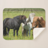 Paarden op de Ranch, Zuid-IJsland Sherpa Deken (Voorkant (horizontaal))