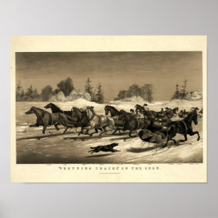 Paarden op de sneeuw, poster