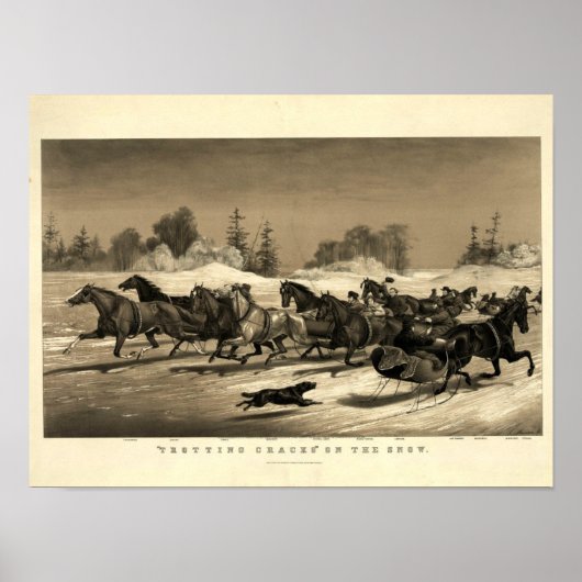 Paarden op de sneeuw,  poster (Voorkant)