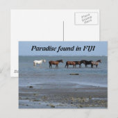 Paarden op de strand op het Briefkaart Fiji (Voorkant / Achterkant)