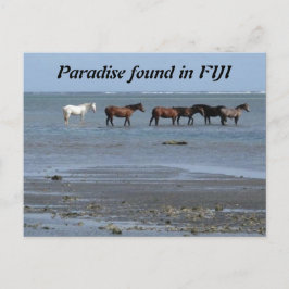 Paarden op de strand op het Briefkaart Fiji