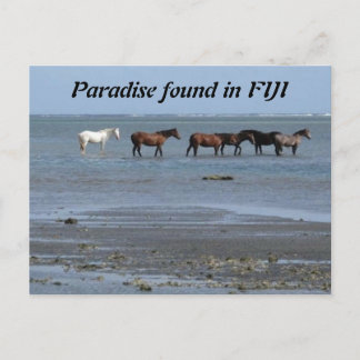 Paarden op de strand op het Briefkaart Fiji