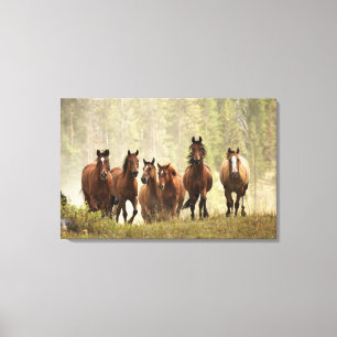 Paarden op de top van een kleine heuvel tijdens ee canvas afdruk