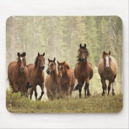 Paarden op de top van een kleine heuvel tijdens ee muismat
