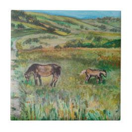 Paarden op de weide tegeltje