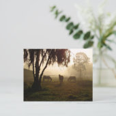 Paarden op een Misty Morning Briefkaart (Staand voorkant)