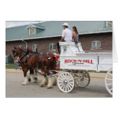 Paarden op een staatsbeurs (Voorkant Horizontaal)