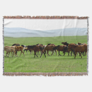 Paarden op grasland - Landschapsfoto Deken