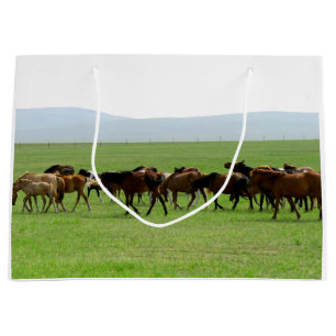Paarden op grasland - Landschapsfoto Groot Cadeauzakje