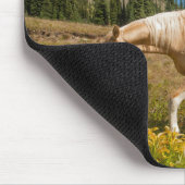 Paarden op grassen in een alpiene weide in de zome muismat (Hoek)