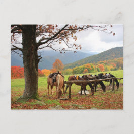 Paarden op het Briefkaart van de bergen