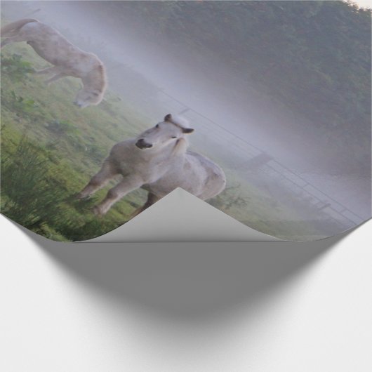 Paarden op het nevelplatteland waar papier wordt v (Hoek)