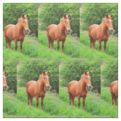 Paarden op het platteland stof (Swatch)