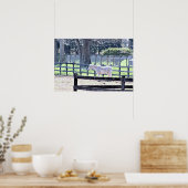 Paarden op het Poster van het Boerderij (Keuken)