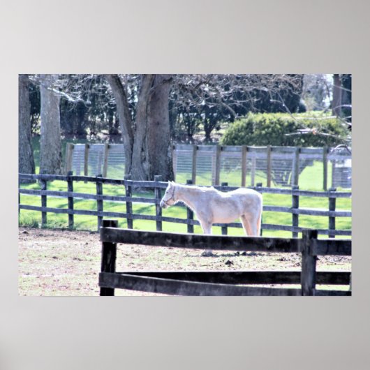 Paarden op het Poster van het Boerderij (Voorkant)