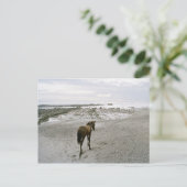 Paarden op het strand briefkaart (Staand voorkant)
