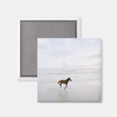 Paarden op het strand magneet (Voorkant / Achterkant)