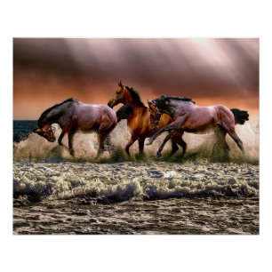 Paarden op het strand perfect poster