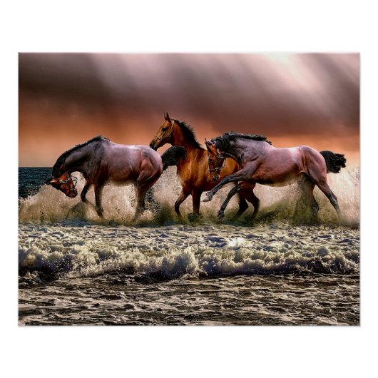 Paarden op het strand perfect poster (Voorkant)