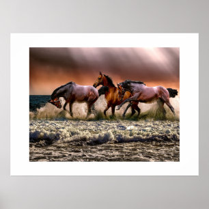 Paarden op het strand poster