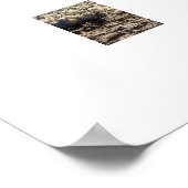 Paarden op het strand poster (Hoek)