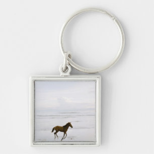 Paarden op het strand sleutelhanger