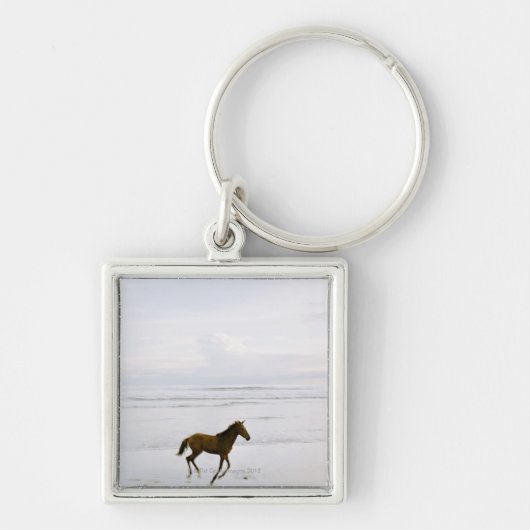 Paarden op het strand sleutelhanger (Voorkant)